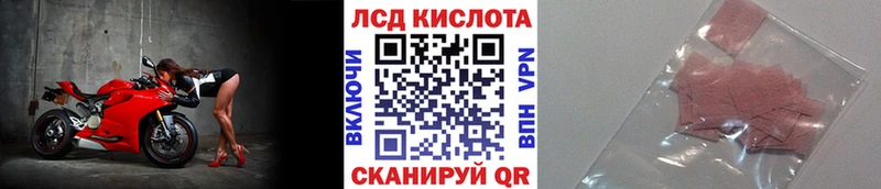 Марки N-bome 1,8мг  купить наркотики цена  Котовск 