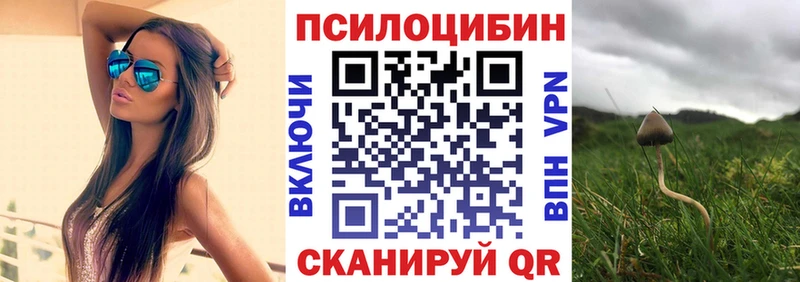 Галлюциногенные грибы Cubensis  Котовск 