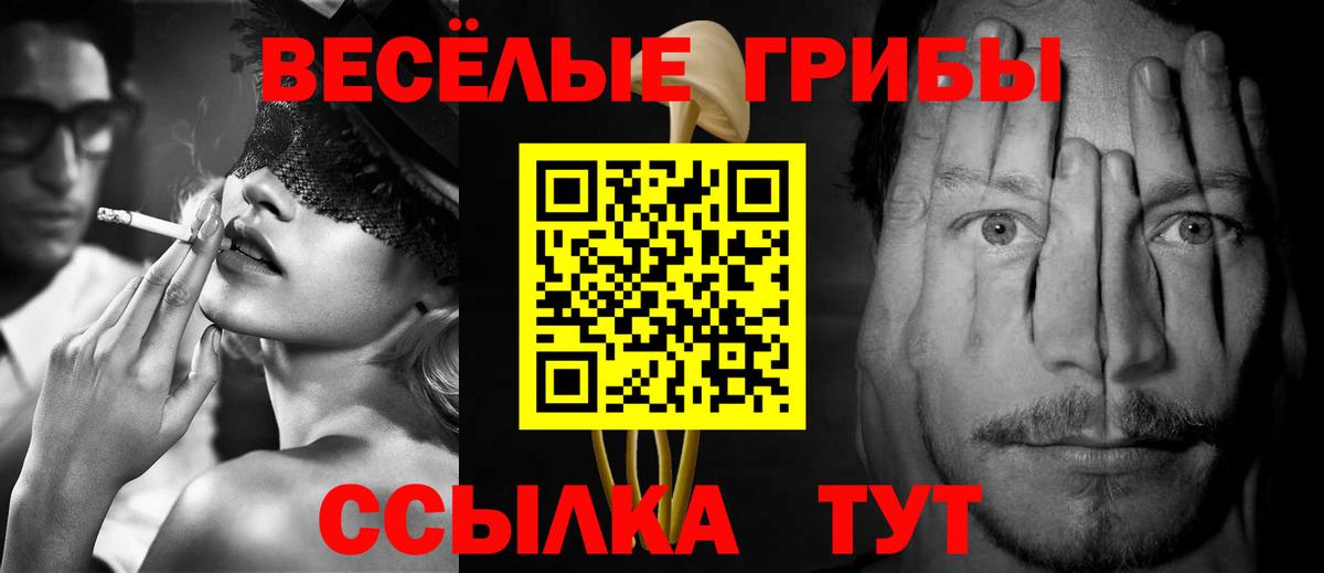 Галлюциногенные грибы Cubensis  Вход с VPN  Псилоцибиновые грибы Magic Shrooms  Котовск 