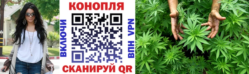 Бошки Шишки SATIVA & INDICA  хочу наркоту  Котовск 